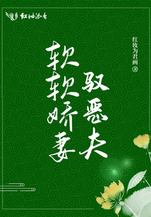 软软全文阅读免费顾衫付软软
