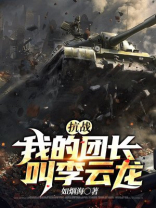 我的团长李云龙 小说