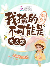 我捡的包子是大佬穿书全文阅读