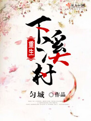 重生下乡小说