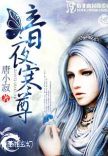 暗夜寒尊唐小寂