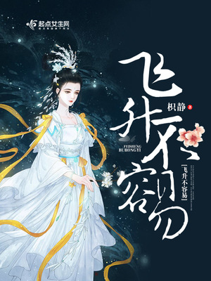飞升不容易不更新了