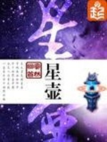 星壶寞然回首