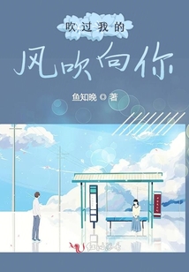 吹过我的风吹向你免费阅读