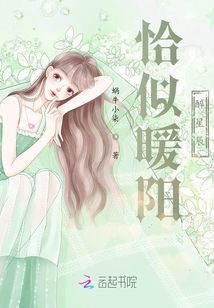 恰似暖阳醉星辰小说免费阅读