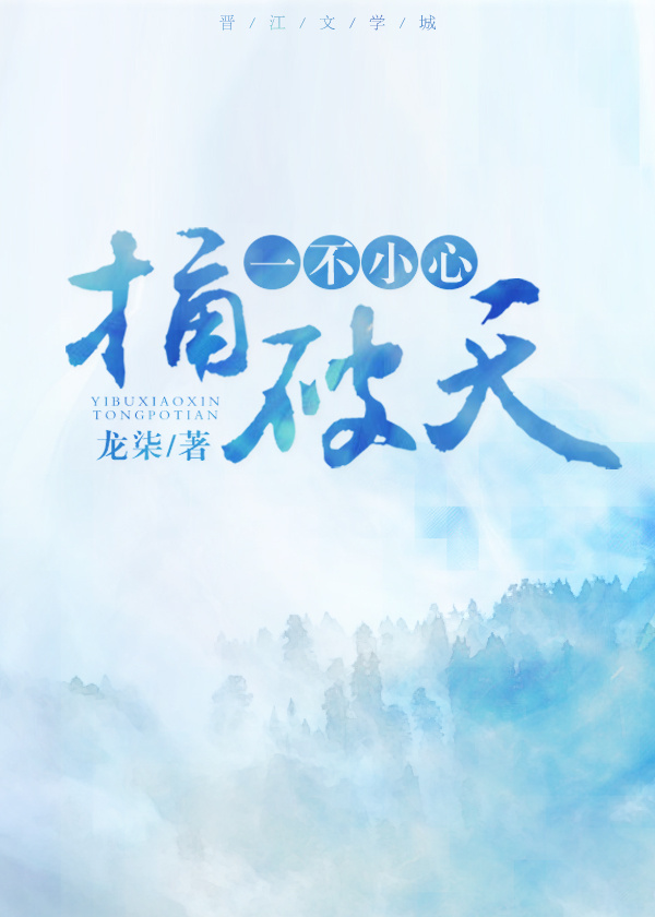 我一不小心捅破了天