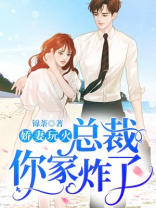 娇妻难养,总裁你老婆又跑了