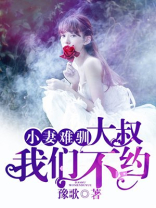 小妻不好惹,大叔请克制