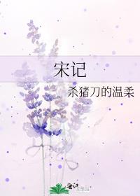 宋记烤面筋