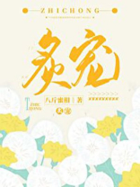 炙宠八斤蜜柑