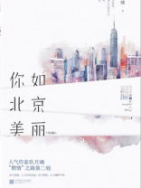 你如北京美丽原著小说