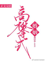 高攀式婚姻小说