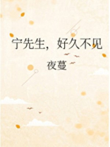 宁先生好久不见小说免费阅读无弹窗