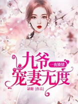 一夜锁情九爷宠妻无度全文免费阅读