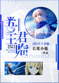 吾王穿越hp