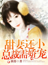 甜妻还小,总裁需娇宠TXT下载
