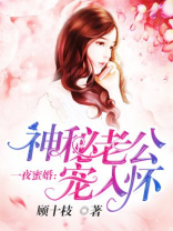一夜蜜婚神秘老公宠入怀免费阅读短