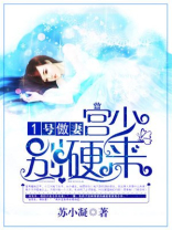 1号傲妻:宫少,别硬来 苏小凝
