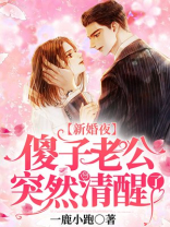 新婚夜傻子老公突然清醒了免费阅读小说