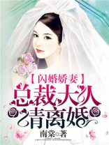 闪婚骄妻,总裁大人请离婚