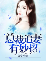 总裁追妻有妙招 言兮