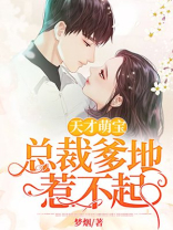 天才萌宝总裁爹地惹不起四宝