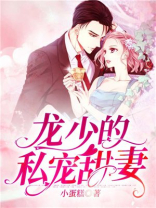 小说龙少宠妻如命