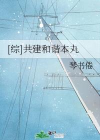 共建和谐本丸 小说