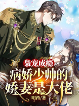枭宠成瘾:病娇少帅的娇妻是大佬 2400