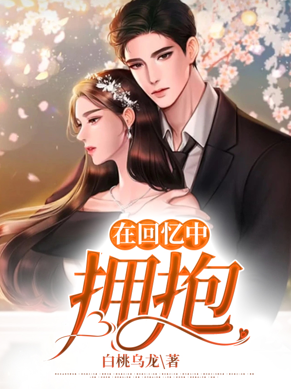 在回忆中拥抱小说免费阅读