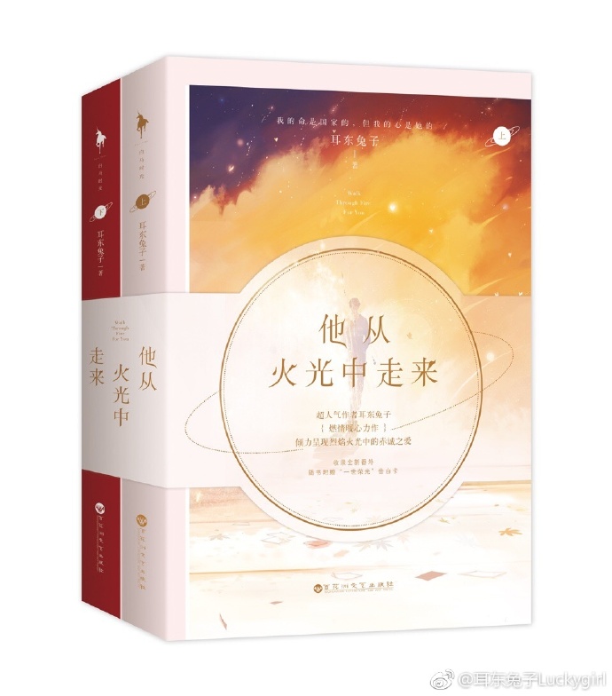 他从火光中走来电视剧在线观看