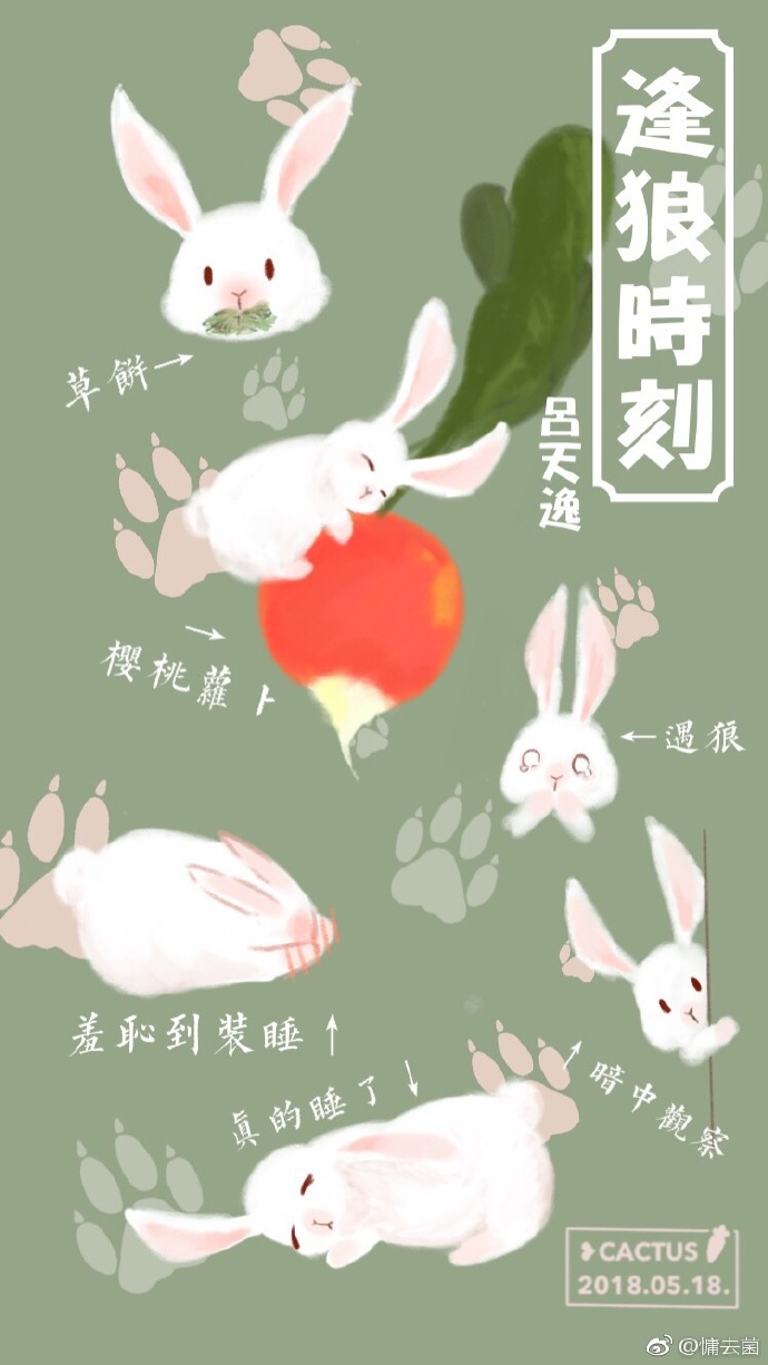 逢狼时刻小说