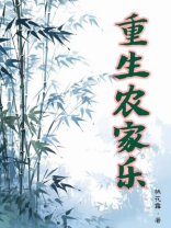 重生农家乐百度网盘
