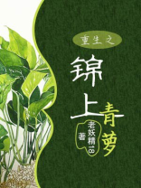 重生之锦上青箩下载