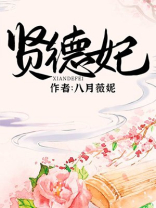 贤德妃小说讲的什么