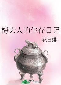 梅夫人的生存日记 小说