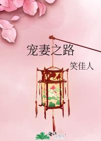 竹马宠妻之路