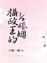摄政王的12婚姻百度云