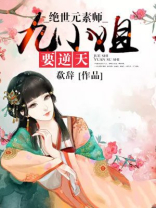 绝世元素师:九小姐要逆天 小说