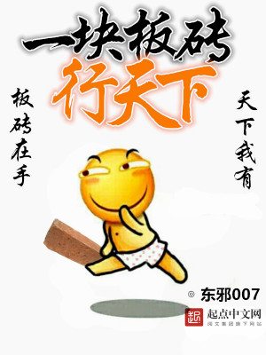 一块板砖闯天下