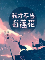 我才不当白莲花小说