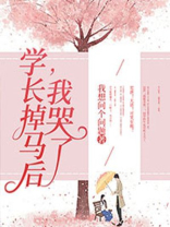 学长我投降小说