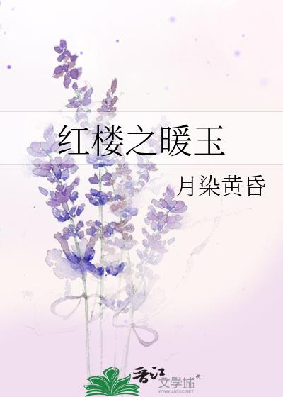 红楼之玉暖G心