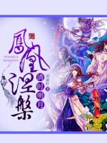 秦时明月之凤凰回首