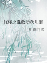 红楼醉:谁敢动朕的黛玉