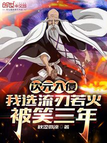 次元入侵:我选流刃若火被笑三年小说
