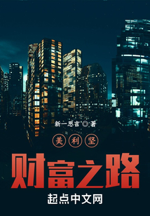 美利坚财富之路小说