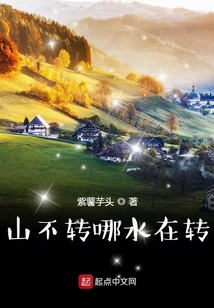 山不转水转在转是哪首歌的词