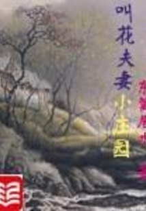 叫花夫妻小庄园好看吗