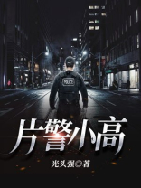 片警小高
